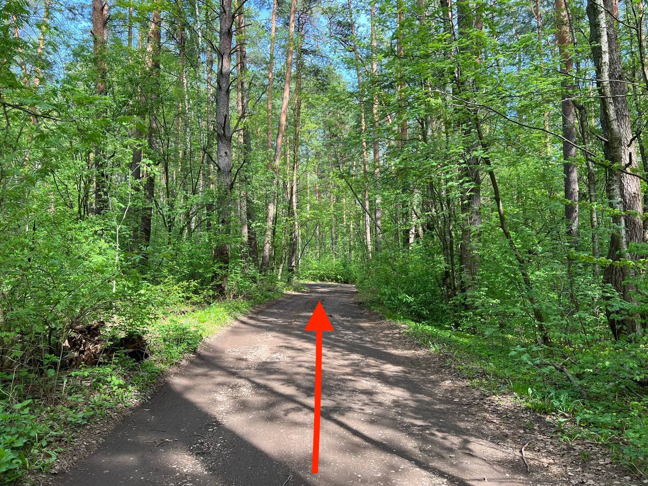 slide_4
